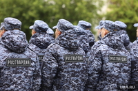 Члены банды «Росгвардия» грабят квартиры в Луганской области
